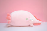 NEU! POOM das Axolotl