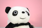 Panda - Ko Panda