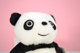Panda - Ko Panda