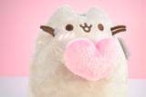 Pusheen mit Herz