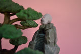Ohngesicht Bonsai Sammelstück - Infinity Water Play