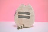 Pusheen mit Herz