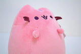 Pink Pusheen Plüsch